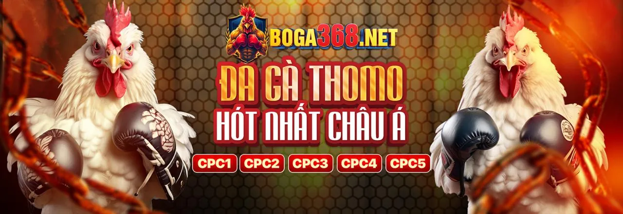 Hình ảnh chính Blog nohu77 trang chủ